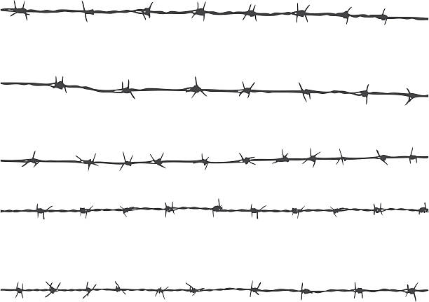 reliable fencing contractors in Barnet