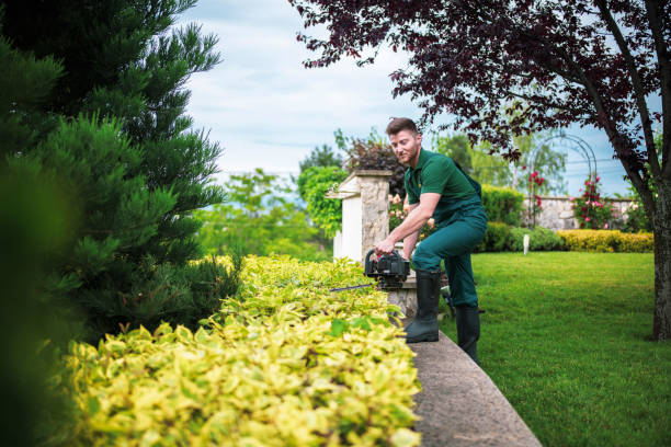 professional landscaping in Potters Bar